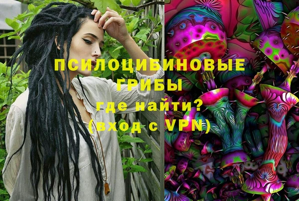 прущая мука Арсеньев