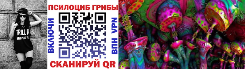 Псилоцибиновые грибы мицелий  Чехов 